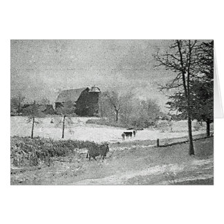 Invierno de la granja