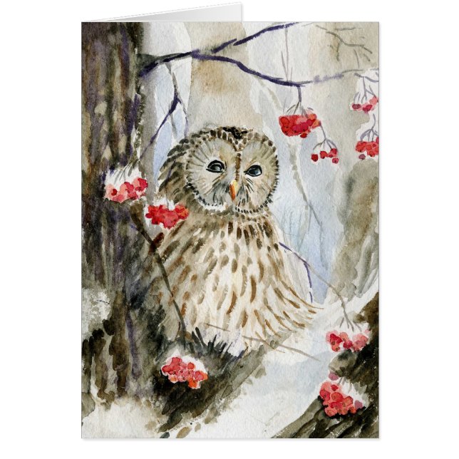 Invierno de la nieve del búho barrado (Frente)