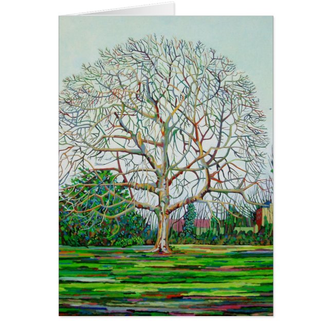 Invierno del árbol del arco (Frente)