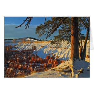 Invierno En El Cañón De Bryce