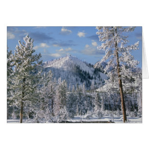 Invierno en el Parque Nacional Yellowstone, Wyomin