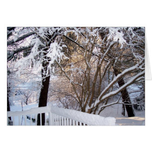 Invierno en el portón delantero