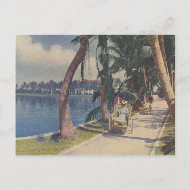 Invierno en Florida, postal de 1908 (Anverso)