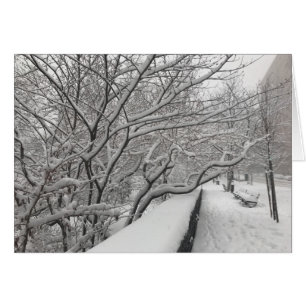 Invierno en New York City Riverside Park Snow NYC