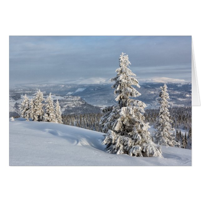 Invierno en Noruega (Anverso (Horizontal))