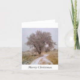 Invierno en tarjeta de Navidad de Colorado