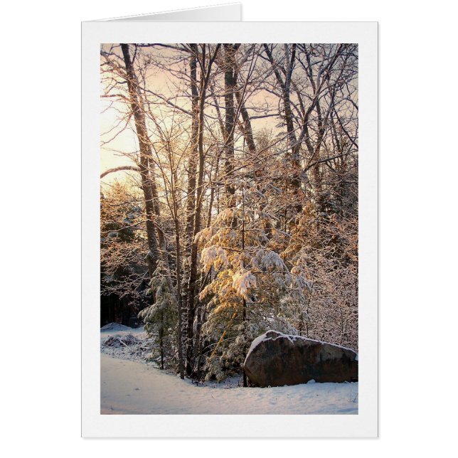 Invierno iluminado (Frente)