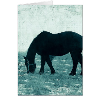 Invierno Percheron