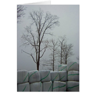 Invierno por la mañana 5x7