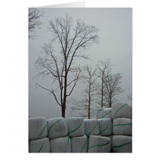 Invierno por la mañana 5x7 (Frente)