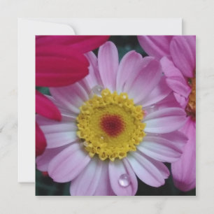 Invitación