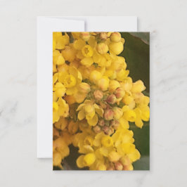 Invitación