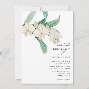 INVITACIÓN