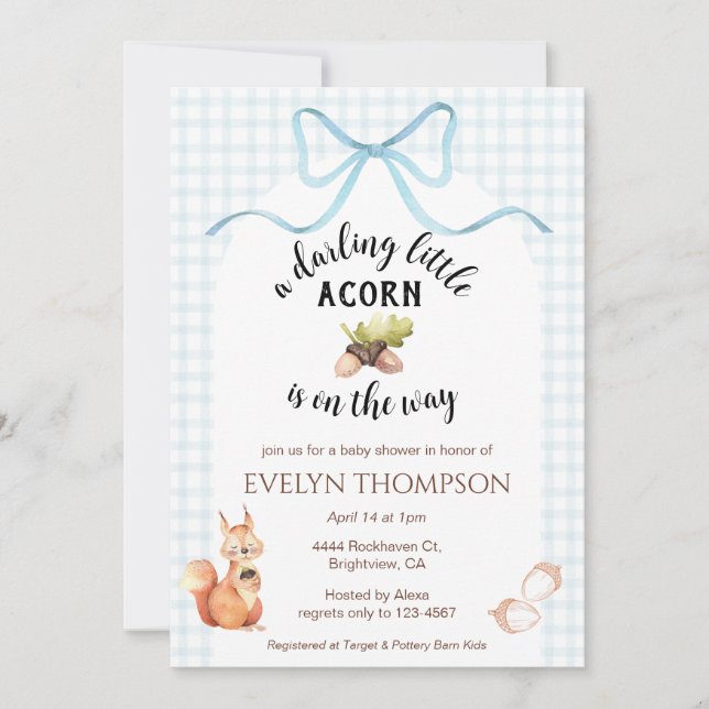 Invitación 001 Sky Squirrel Acorn Gingham Bow Baby Shower (Anverso)