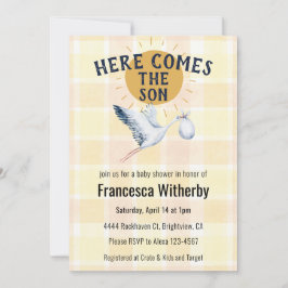 Invitación 015 Lemon Watercolor Plaid Stork Boho Baby Shower