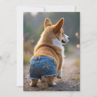 4 de julio Corgi Dog