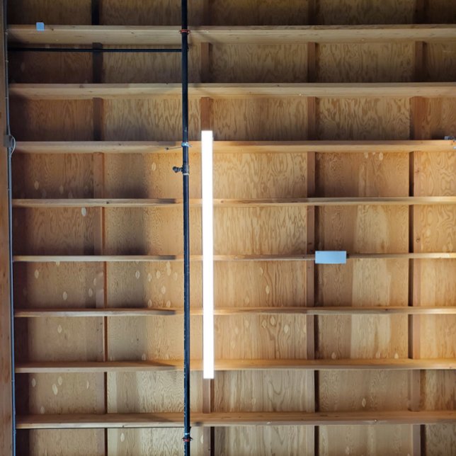 Invitación 56% (1,95 dólares) de regalías (Subido por el creador)