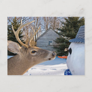 Invitación a almorzar