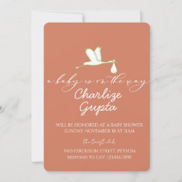 Invitación A Baby Is on the Way Baby Shower 