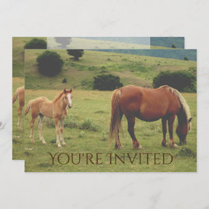 Invitación a Baby Shower neutra de caballo mare y 