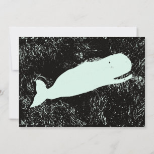 invitación a ballenas blancas
