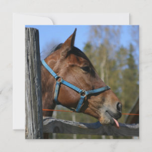 Invitación a caballo