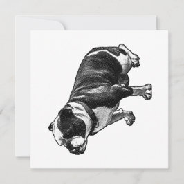 Invitación A Calm Welcome