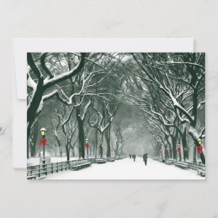 Invitación a Camino de nieve de Central Park