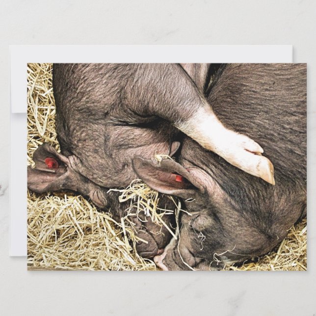 Invitación a CERDITOS CUTE (Anverso)