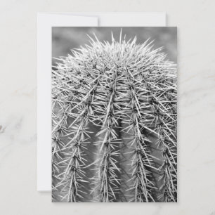 Invitación a corte de cactus (desierto sonorano de