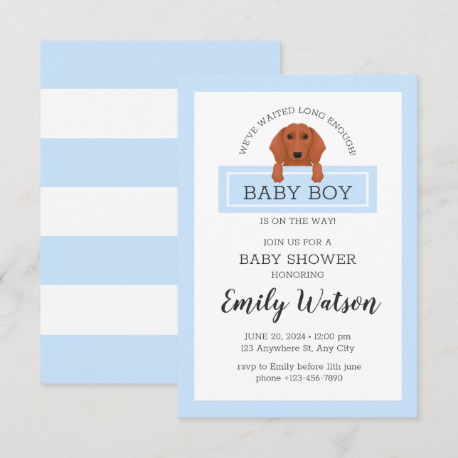 Invitación a Dachshund Baby Shower (Anverso / Reverso)
