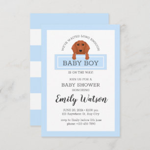 Invitación a Dachshund Baby Shower