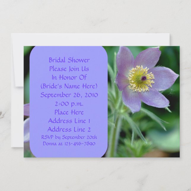 Invitación a ducha de novia púrpura pasque Flower  (Anverso)