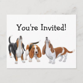 Invitación a Fiesta de activos