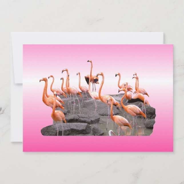 Invitación a Flamingo Rosa (Anverso)