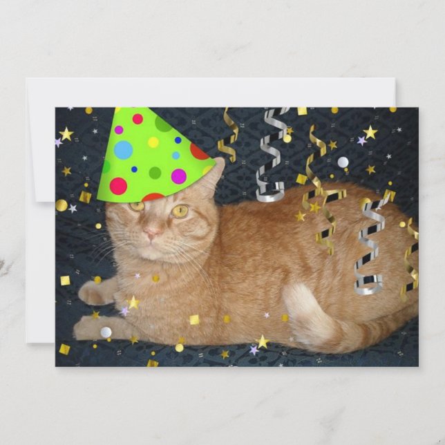 Invitación a gato Tabby, Naranja de fiesta de cump (Anverso)