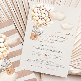 Invitación a globos elefantes de aire caliente