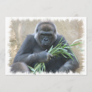 Invitación a Gorila Silverback