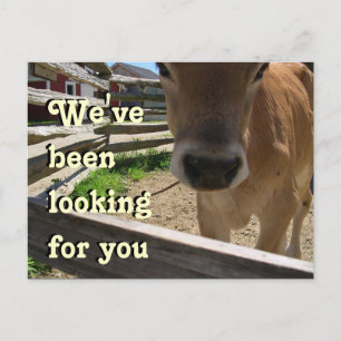 Invitación a grupos juveniles