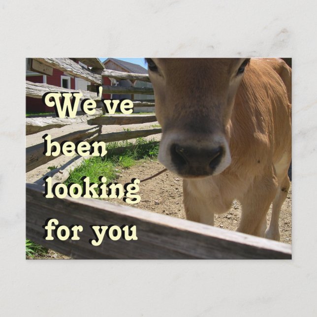 Invitación a grupos juveniles (Anverso)