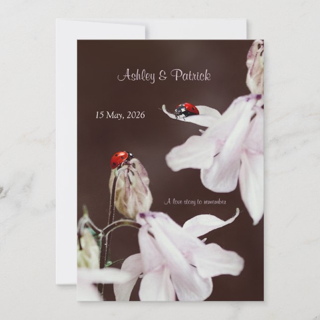 Invitación a la boda de amor de los pájaros Ladybi (Anverso)