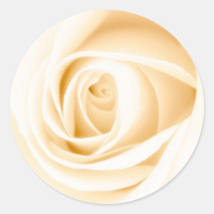 Invitación a la boda de crema redonda rosa sello p