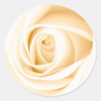 Invitación a la boda de crema redonda rosa sello p