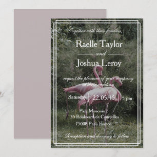Invitación a la boda de flamencos rosados al aire