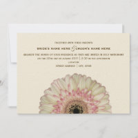 Invitación a la boda de Gerbera Daisy