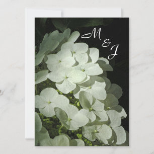 Invitación a la boda de Hydrangea Blanca