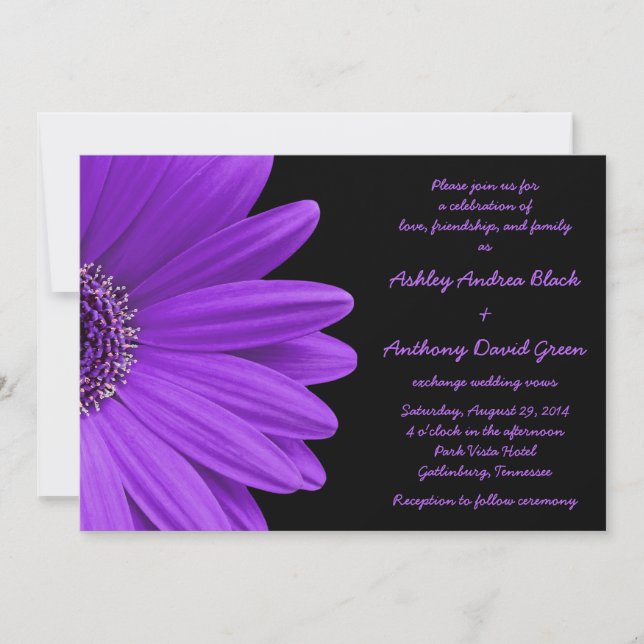Invitación a la boda de la Gerbera Púrpura y Negra (Anverso)