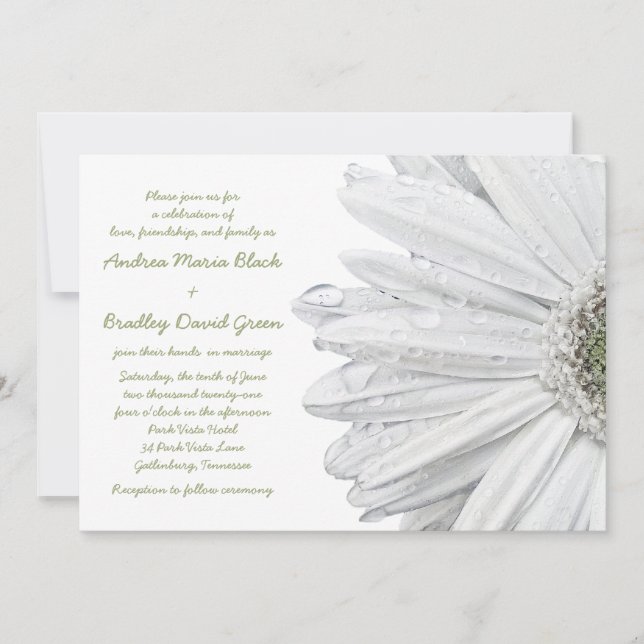 Invitación a la boda de la marea blanca Gerbera (Anverso)