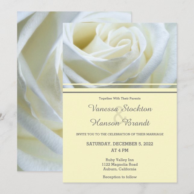 Invitación a la boda de la rosa blanca moderna (Anverso / Reverso)
