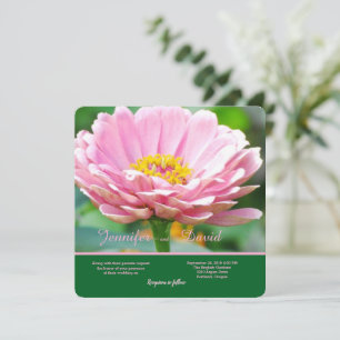 Invitación a la boda de la zinnia rosa